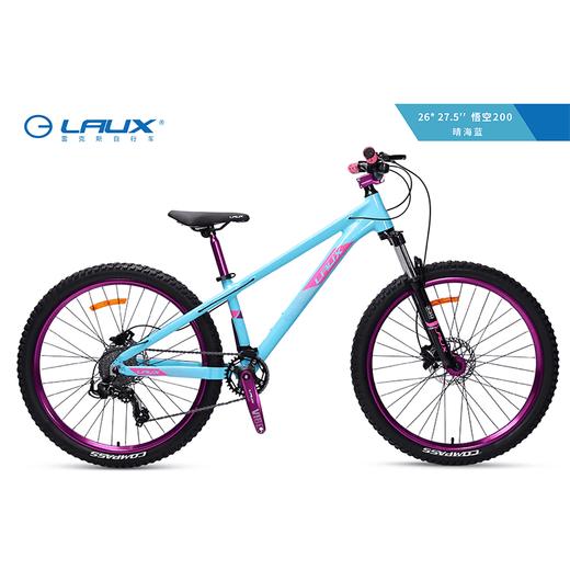 LAUX/雷克斯 悟空200土坡车铝合金车架单盘9速120响四培林花鼓 商品图3