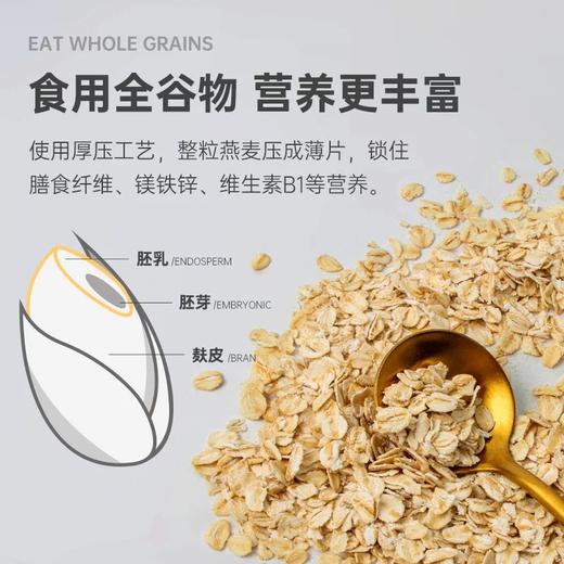 2.08kg巨无霸元鹭澳洲燕麦片 商品图4