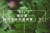 Day 7： 维生素—— 维持生命的营养素（ 下） 商品缩略图0