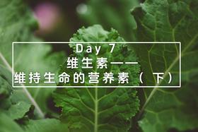 Day 7： 维生素—— 维持生命的营养素（ 下）