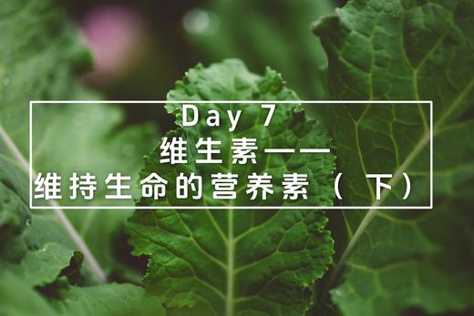 Day 7： 维生素—— 维持生命的营养素（ 下） 商品图0