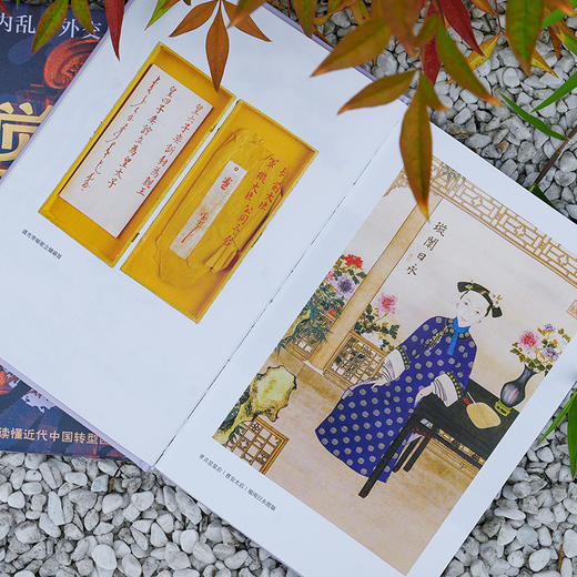 幻灭与觉醒：1861年的内乱、外交与政局 商品图7