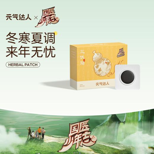 《国医少年志》元气达人 艾灸贴蜜灸贴 艾草湿寒穴位贴 商品图0