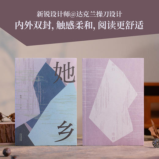 她乡（「菜场女作家」陈慧首部“村镇女性故事集”） 商品图6