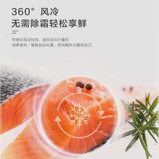 海尔（Haier）冰箱 BCD-170WLHC2Z0WV 商品图6