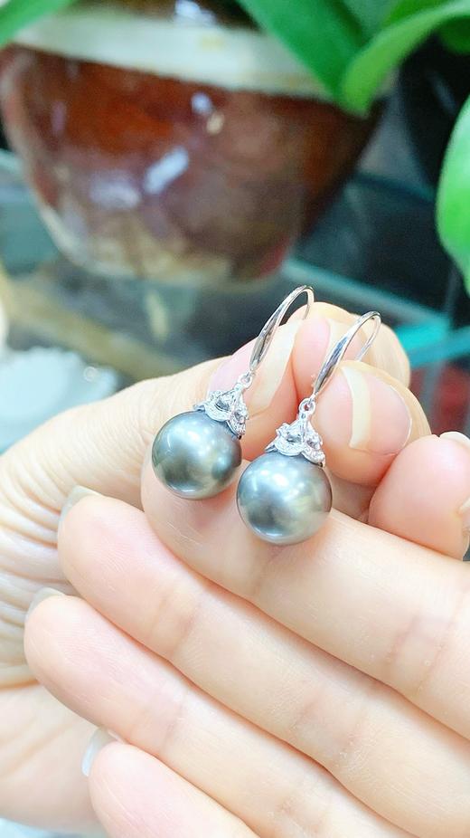 11.5mm大溪地耳坠 商品图5