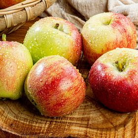 【鲁丽苹果】天然生长 新鲜采摘 果肉酸甜脆爽 皮薄核小 营养丰富 2种规格任选