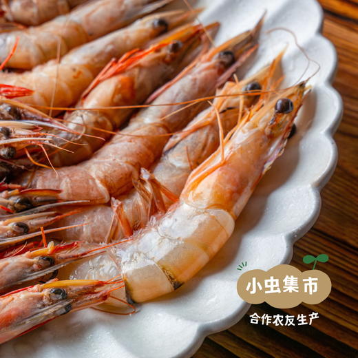 【6盒起发】野生活冻海虾组合 | 合作农友生产，来自福建漳州东山岛，生产者：许智强 *【公平贸易农人定价】 商品图1