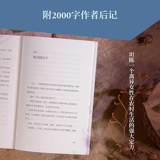 她乡（「菜场女作家」陈慧首部“村镇女性故事集”） 商品图5