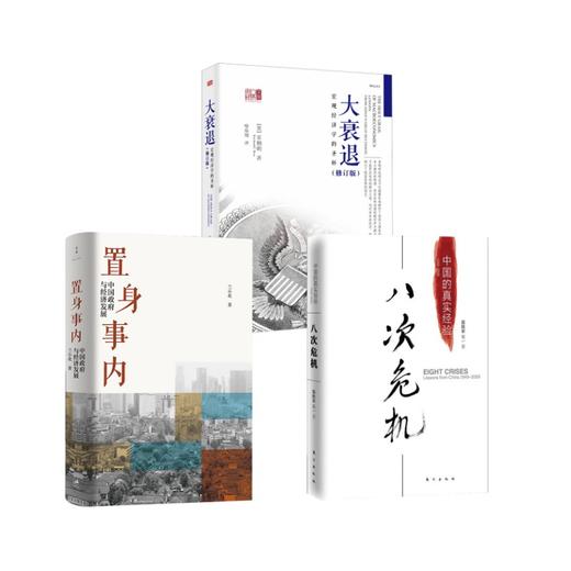 八次危机+置身事内+大衰退 商品图0