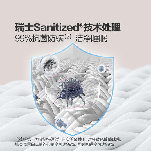 MM 山姆 Member's Mark 抗菌防螨纤维枕 2个装 44*70cm 商品图3