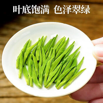天旭茶叶绿茶雀舌特级四川毛尖2026新茶春茶明前嫩芽高山云雾茶250g /水饮冲调 /茗茶 /绿茶 商品图5