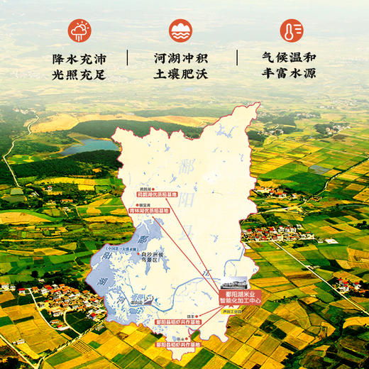 鄱阳湖鄱湖香稻（两面）5kg 商品图4