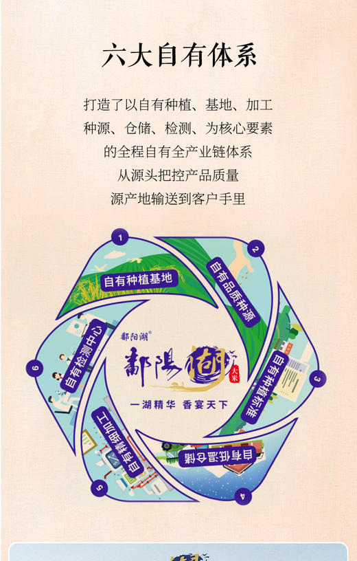 鄱阳湖莲湖油粘5KG 商品图8