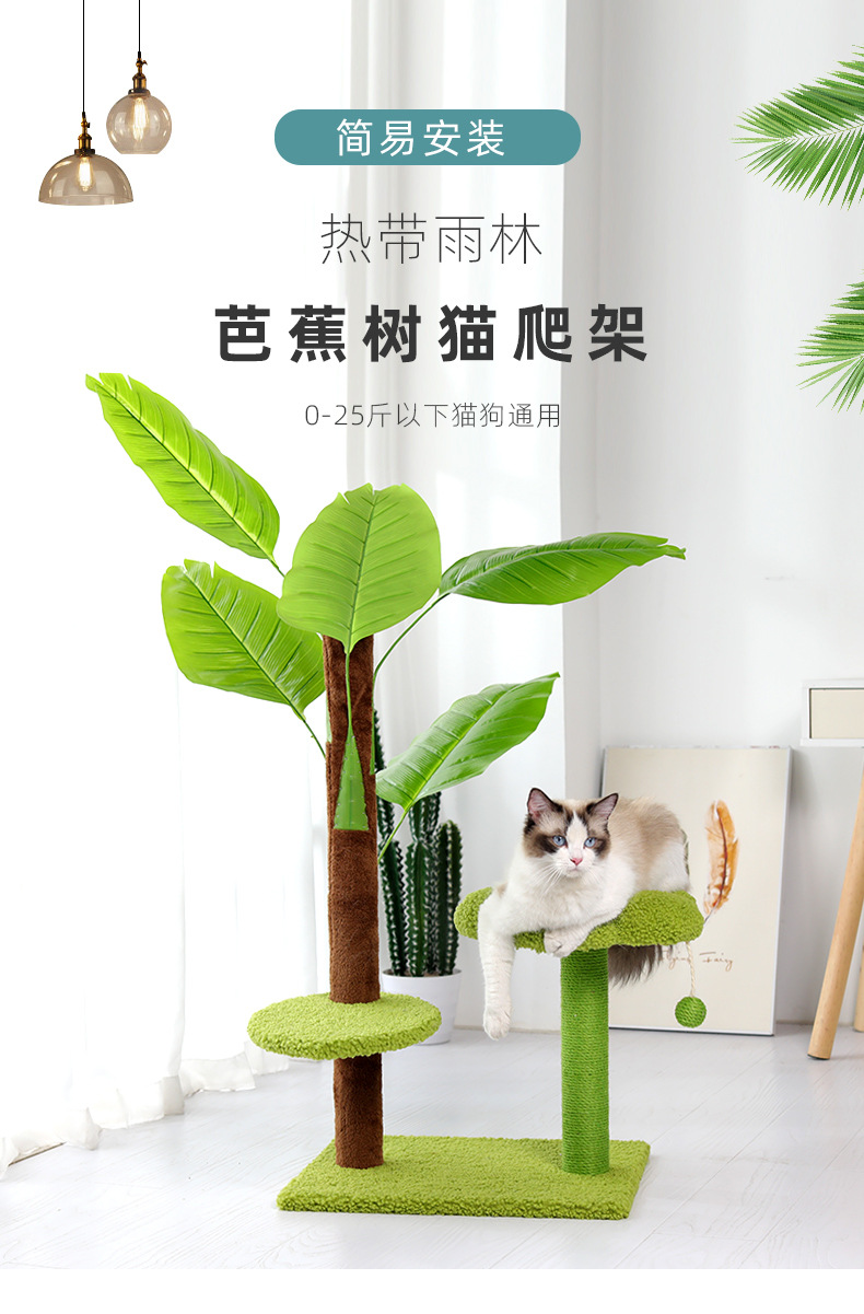 猫树爬架_02