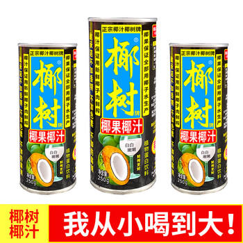 椰树椰果椰汁 250g*24罐 植物蛋白饮料 正宗海南特产 整箱装 /水饮冲调 /饮料 /植物蛋白饮料 商品图2
