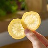 福宴仙海盐/蜂蜜柠檬片|严选八成熟鲜果，低温慢烘，0添加 商品缩略图4