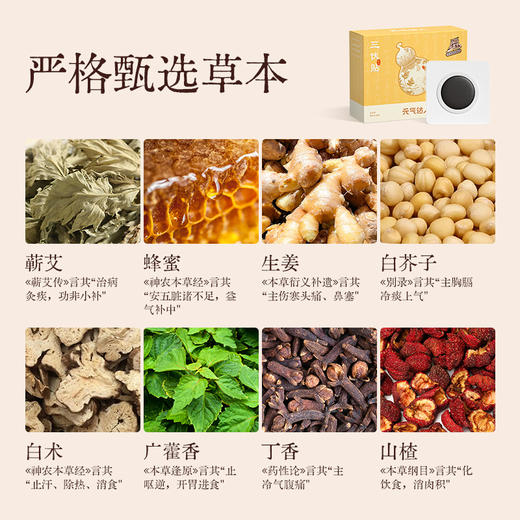 《国医少年志》元气达人 艾灸贴蜜灸贴 艾草湿寒穴位贴 商品图3