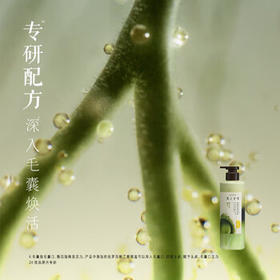 髮の食谱发之食谱茶柚护发素柔顺干枯毛躁修护顺滑530g润发乳京东自营