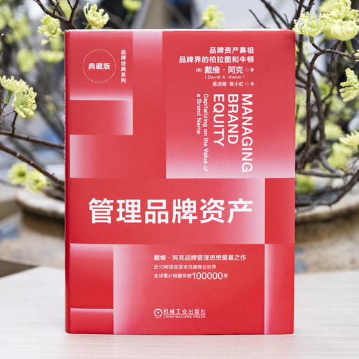 管理品牌资产(典藏版) 商品图1