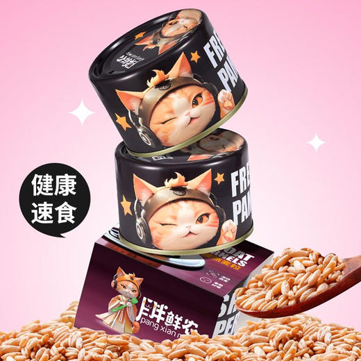 胖鲜农速食罐头180克 商品图1