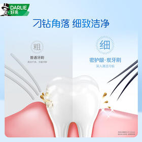 好来（DARLIE）(原黑人)密护龈·炭软毛牙刷进口炭丝抗菌清洁护龈 2支装新旧包装 /个人护理 /口腔护理 /牙刷