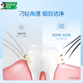 好来（DARLIE）(原黑人)密护龈·炭软毛牙刷进口炭丝抗菌清洁护龈 2支装新旧包装 /个人护理 /口腔护理 /牙刷 商品图0