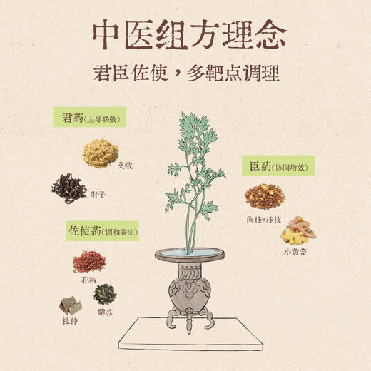 【真不二】新品肉桂小黄姜陈艾条湖北蕲春蕲艾三九艾灸家用 商品图2