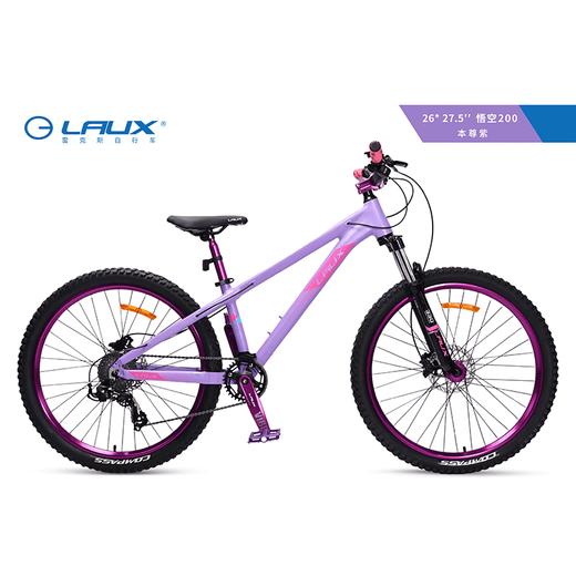 LAUX/雷克斯 悟空200土坡车铝合金车架单盘9速120响四培林花鼓 商品图5