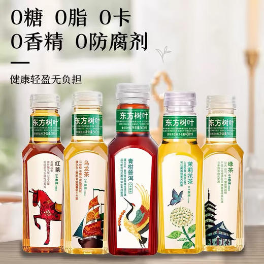 东方树叶茶饮料500ml*15瓶整箱装批发0脂肪红茶绿茶茉莉花茶饮品 商品图3