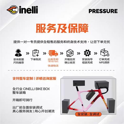 CINELLI西耐力意大利Pressure[限定火烈鸟]破风竞赛骑行全碳限定车架 商品图3