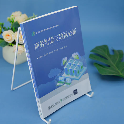 商务智能与数据分析 商品图0