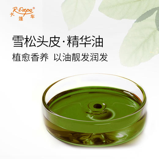 雪松头皮·精华油 头发奢养按摩精华油原料批发康养以油植愈养发 商品图1