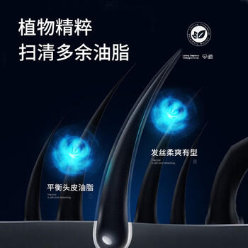 尊蓝男士蓬松去屑洗发水海洋香400g 清爽控油止痒 持久留香洗发膏 /个人护理 /洗发护发 /洗发水 商品图1