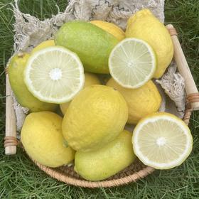 【青黄柠檬双拼】口感清新酸爽