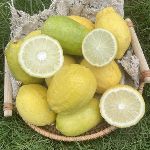 【青黄柠檬双拼】口感清新酸爽 商品图0