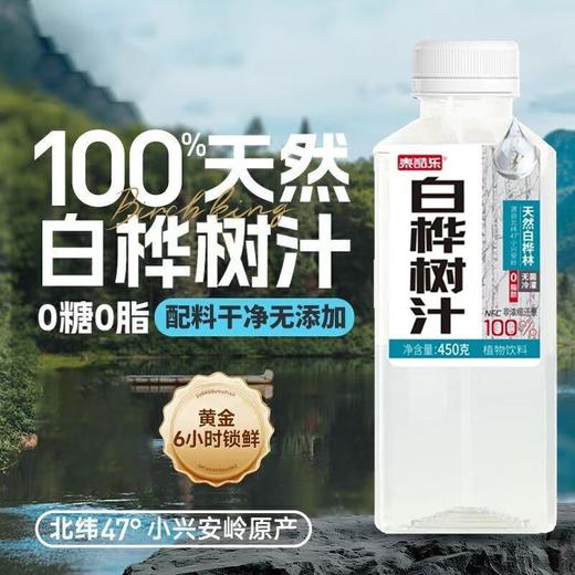 泰酷乐白桦树汁植物饮料  450g 商品图0