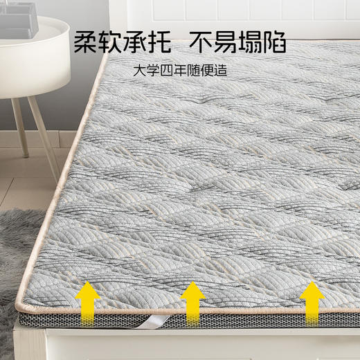 雅芳婷冬暖夏凉床垫宿舍学生单人床垫家用卧室软垫透气榻榻米垫子 商品图3