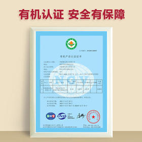 素养生活有机新疆和田红枣200g 特级新疆灰枣 红枣 大枣 蜜饯果干零食 /休闲食品 /蜜饯果干 /枣