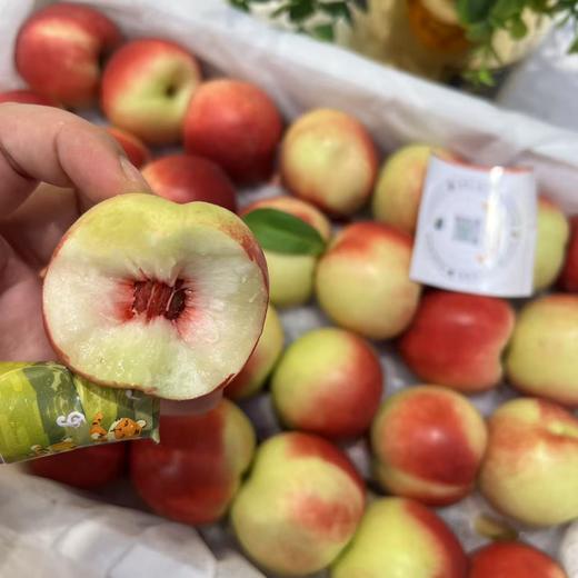 新疆珍珠枣蜜桃 油桃 商品图6