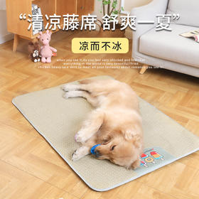 狗窝夏季凉席冰垫宠物宠物用品猫咪狗狗超大藤席垫透气狗凉垫冰窝