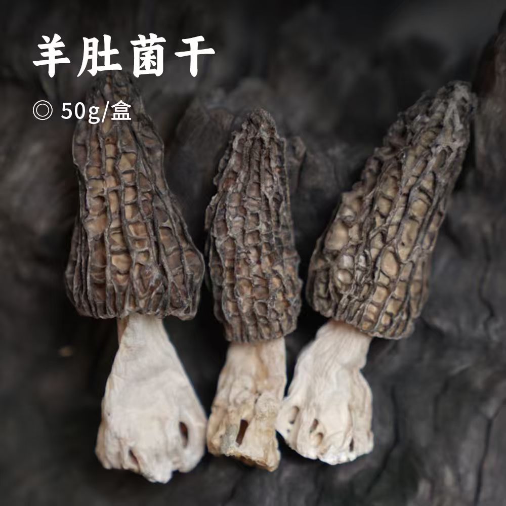 羊肚菌干 | 厨房团队实地溯源 肉质肥厚 干净无杂质 颗颗人工严选 炖汤鲜香味独特 口感爽脆营养高