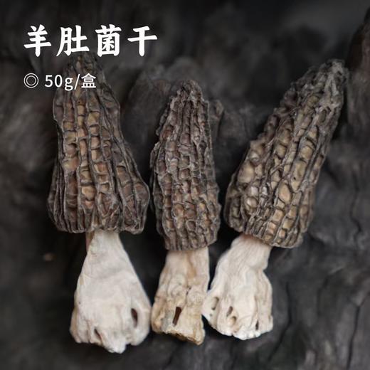 羊肚菌干 | 厨房团队实地溯源 肉质肥厚 干净无杂质 颗颗人工严选 炖汤鲜香味独特 口感爽脆营养高 商品图0