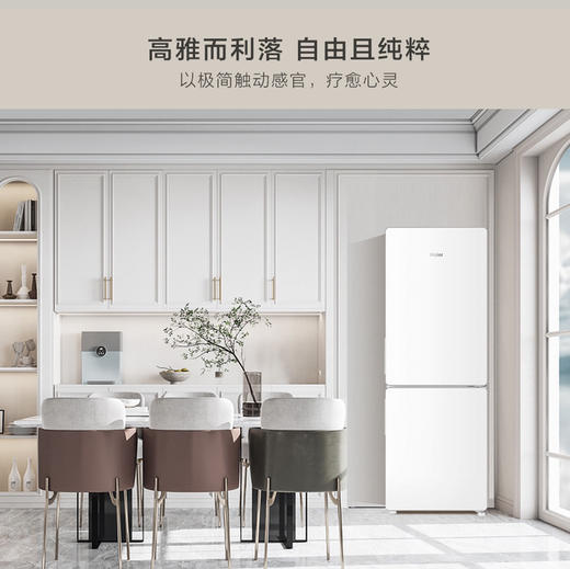海尔（Haier）冰箱 BCD-170WLHC2Z0WV 商品图1