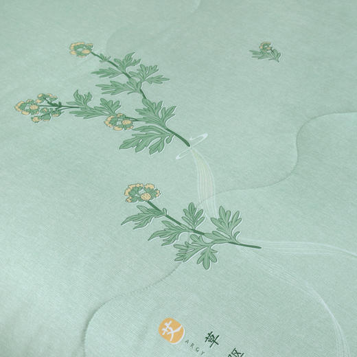 【多样屋专柜】雅鹿艾草驱蚊抗菌被150*200cm 商品图2
