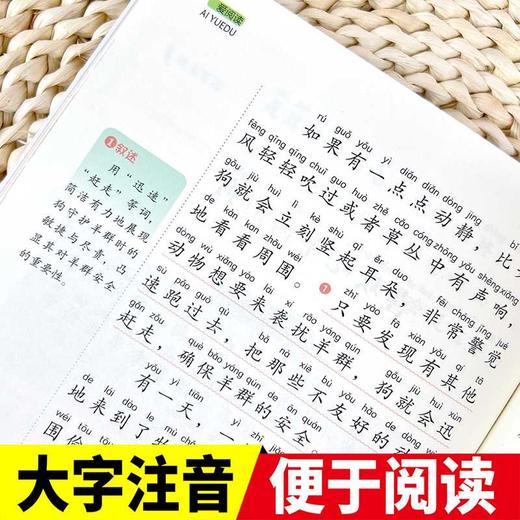 伊索寓言:注音彩绘版 商品图4