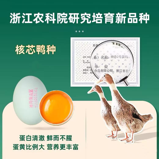 神丹12枚VE鲜鸭蛋 商品图4