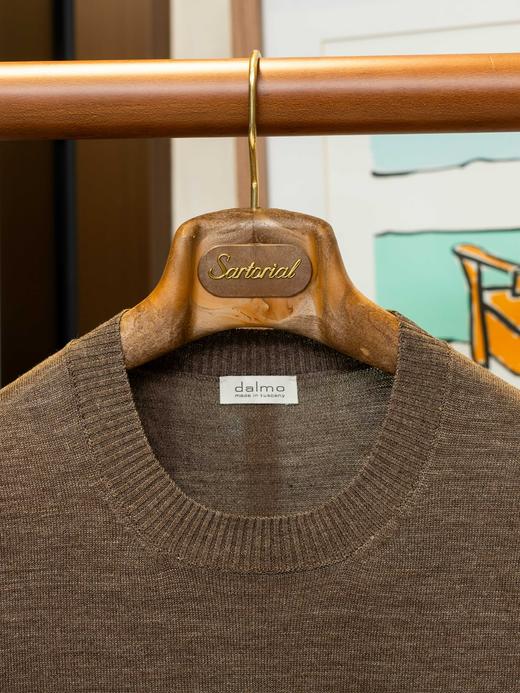 Dalmo 棕色真丝T恤 商品图1