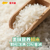 金龙鱼长粒香大米东北大米稻谷鲜生长粒香10斤 6步鲜技术鲜米 商品缩略图3