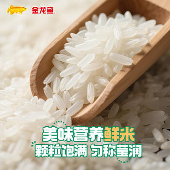 金龙鱼长粒香大米东北大米稻谷鲜生长粒香10斤 6步鲜技术鲜米 商品图3